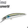 IMA SURVIVOR 50S