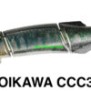 DUO REALIS MICRODON 88S