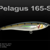 JACK FIN PELAGUS 165-S JACK FIN PELAGUS 165-S
