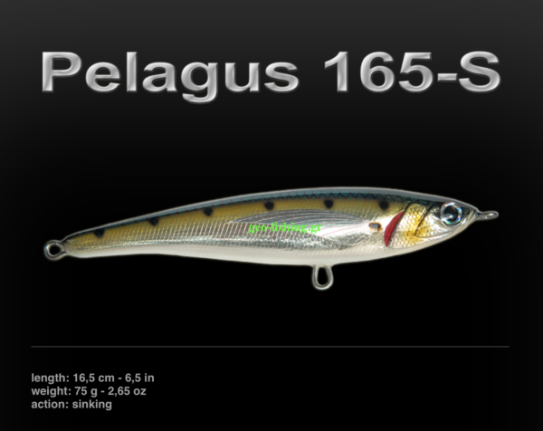 JACK FIN PELAGUS 165-S JACK FIN PELAGUS 165-S