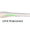 MEGABASS HAZEDONG 4''