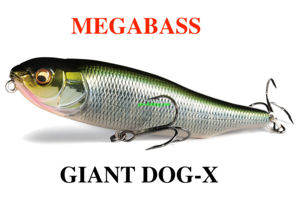 MEGABASS GIANT DOG - X