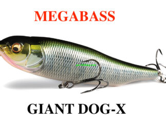 MEGABASS GIANT DOG - X