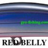 TACKLE HOUSE CONTACT BEZEL JERK