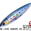 MAJOR CRAFT JIGPARA TG 10gr