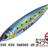 MAJOR CRAFT JIGPARA TG 10gr