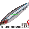 MAJOR CRAFT JIGPARA TG 10gr
