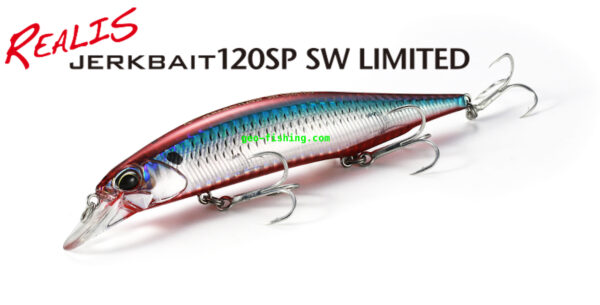 DUO REALIS JERKBAIT 120SP & SW