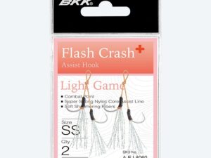 BKK FLASH CRASH