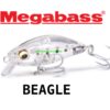 MEGABASS BEAGLE (F)