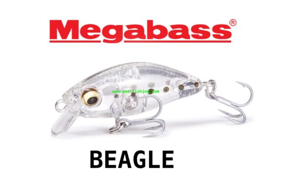 MEGABASS BEAGLE (F)