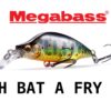 MEGABASS BAT A FRY 44