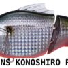 MEGABASS VATALION SW